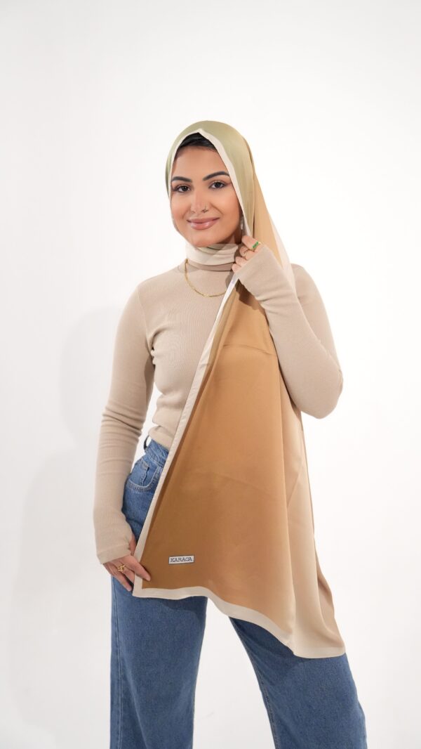 Gradient Colours Silk Scarf-KRRNG-02