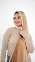 Gradient Colours Silk Scarf-KRRNG-02