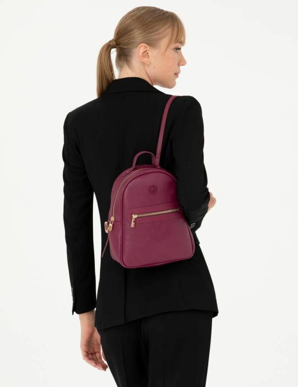 PC1541-Pierre Cardin Maroon Backpack