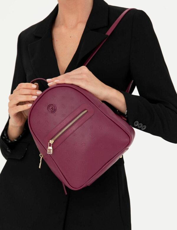 PC1541-Pierre Cardin Maroon Backpack