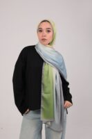 Gradient Colours Silk Scarf-KRRNG-23